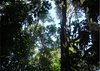 El Río Negro