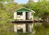 El Río Amazonas