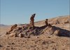 Valle de La Luna