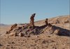 Valle de La Luna