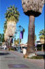 Palm Spring también tiene un paseo de las estrellas, en este caso locales.