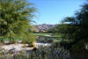 El golf es una actividad que se practica todo el año en la zona de Palm Springs, donde hay más de cien campos de golf.