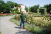 Monte Petřín, puedes pasear por sus jardines.