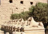 Templo de Karnak, es un conjunto de varios templos, el más grande fue construido a lo largo de miles de año.