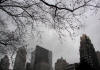 Rascacielos desde el Bryant Park.