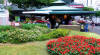 Costa Rica y sus flores, la ciudad y sus Jardines
