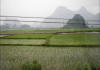 Guilin, sembradíos de arroz son su producción mayor.