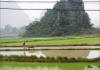Guilin, sembradíos de arroz.
