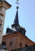 Uno de los símbolos más representativos de Alcalá de Henares son las cigüeñas, en concreto la cigüeña blanca (Ciconia ciconia).